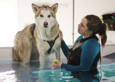 k9-hydro-therapy-for-dogs_theteamlaura