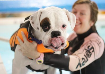 Kidderminster hydro pool for dogs