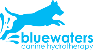 logo-new