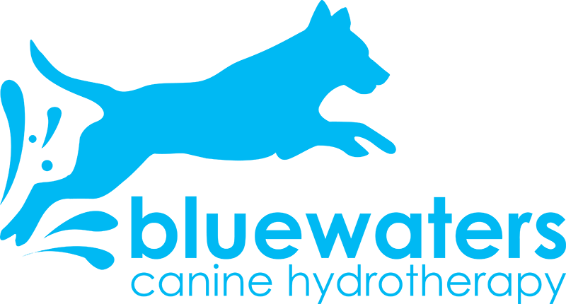 Bluewaters Canine Hydrotherapy