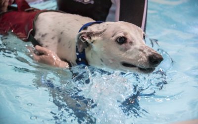 Hydrotherapy for Spinal Injuries