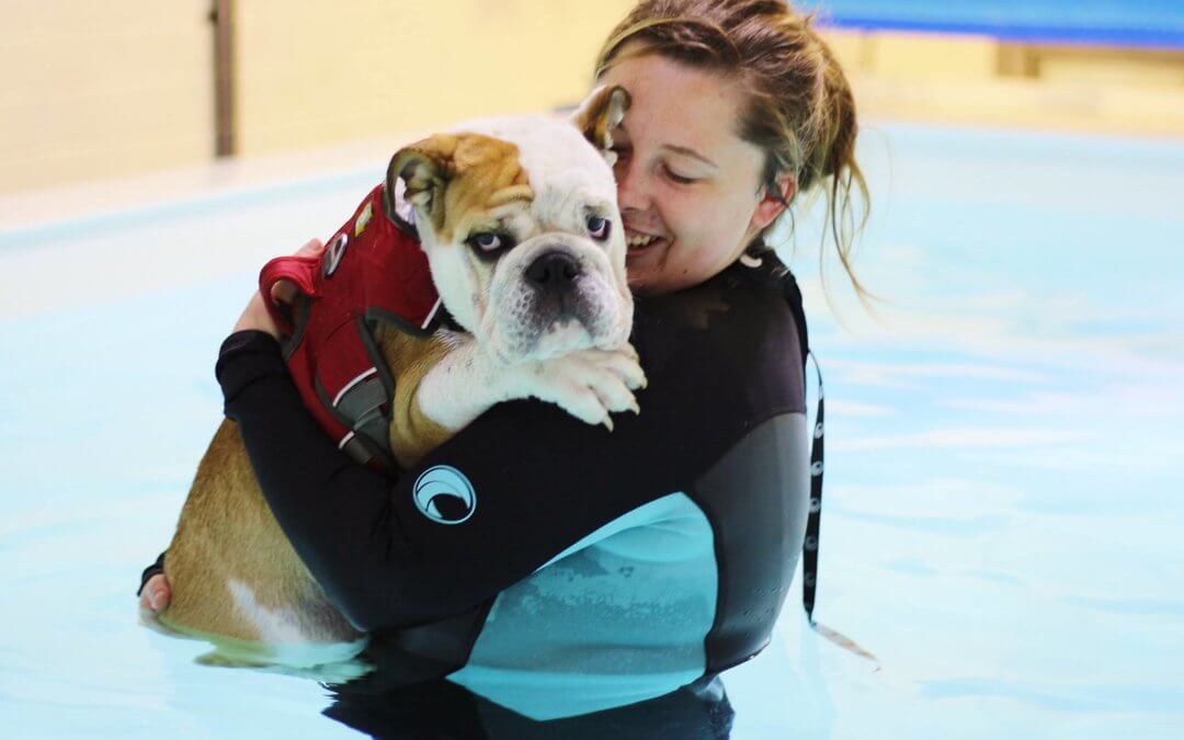 Stack Pool Kidderminster Projects | Bluewaters Canine Hydrotherapy