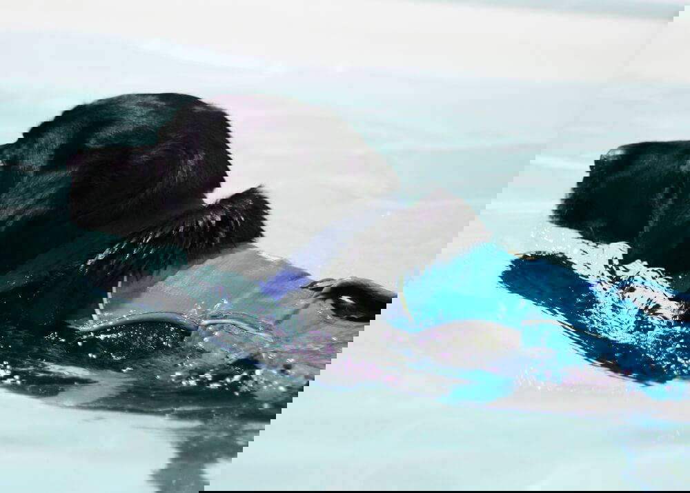 Marley Bilateral Hip Dysplasia Bluewaters Canine Hydrotherapy